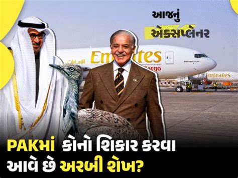UAE President MBZ in Pakistan: Why Arab Royals Visit for Desert Hunting