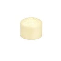 Ashirvad 20mm CPVC Caps - Specials and Accessories - Plumbing -BuildersMART