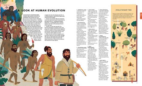 Men Evolution Chart 的图像结果