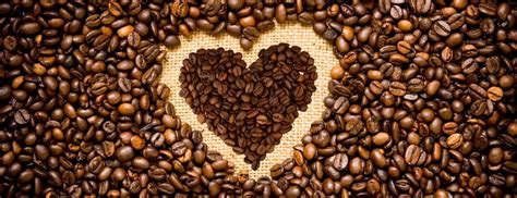 Cultural Connections: How Mr. Viet Bridges Vietnam and Coffee Lovers W ...