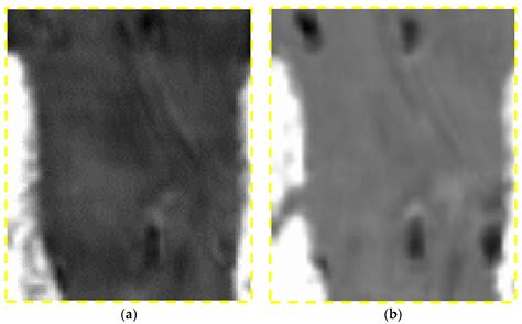 Design and Applications of Multi-Frequency Holographic Subsurface Radar ...