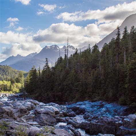 Download wallpaper 2780x2780 trees, stones, mountains, nature ipad air ...