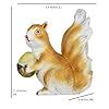 Wonderland Set of 2 Squirrels Statue | Material Resin | Length 10 ...