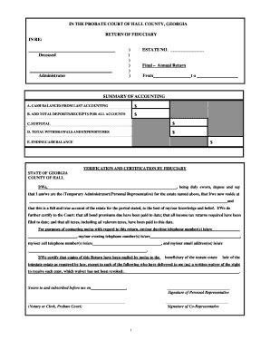 Georgia Probate Court Fiduciary Return - Blank Fillable Template | Fill ...