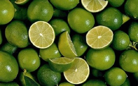 jeruk nipis memerahkan mulut » Boleh Merokok