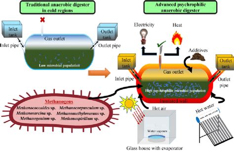 Biomethanation 的图像结果