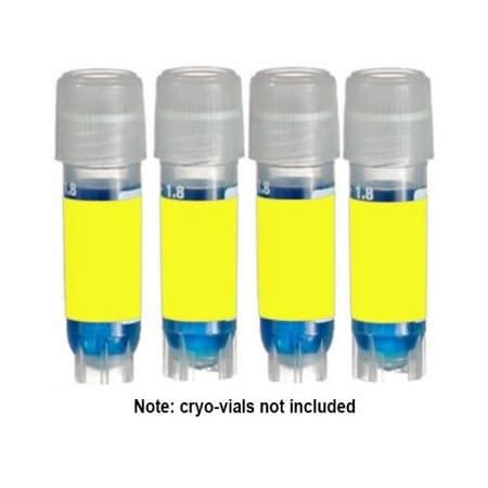 Diversified Biotech Direct Thermal Cryo-Tags, 1.50 x 0.75", Yellow, 750 ...