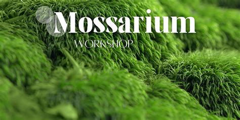 Mossarium Workshop, Hartwell, Raleigh, 26 May 2023 | AllEvents.in