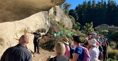 Protecting rock art and mahika kai, 5 Halstead Rd, Pleasant Point 7903 ...