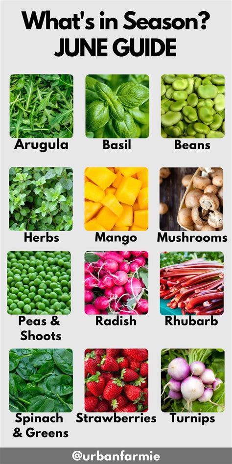 June Produce Guide [2024]