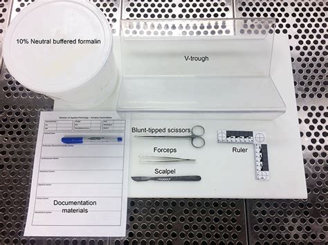 Image result for Compost Autopsy