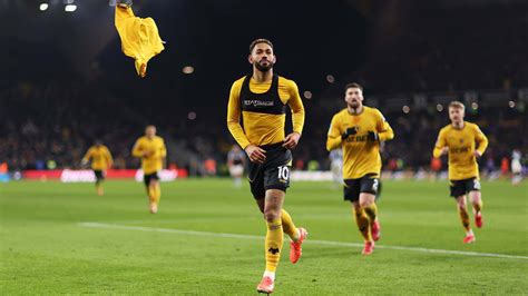 Image result for Wolves Villa