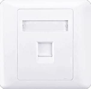 RIVER FOX® CAT.6 RJ45 Ethernet Wall Plate, RJ45 Female Keystone Jack ...