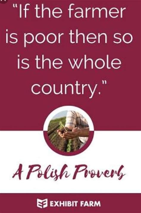 Proverbs about agriculture in English - Brainly.in