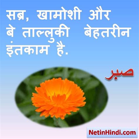 Sabr status in hindi – Sabr quotes in hindi – Net In Hindi.com