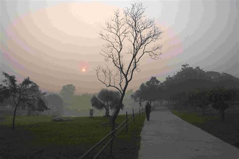 Shrouded in thick smog, Delhi gasps for air