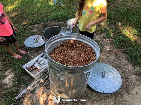 Image result for Farm Tools Review