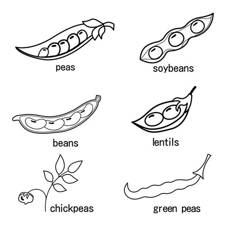 Green Peas In English Language at Sebastian Montefiore blog