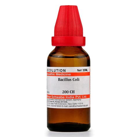 Buy Dr.Willmar Schwabe Bacillus Coli 200 CH Dilution, 30 ml | 19 ...