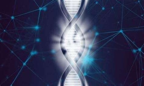DNA Activation Code 的图像结果