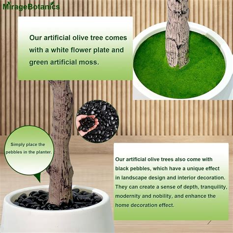 MirageBotanics Artificial Olive Trees Indoor,Faux Olive Tree with India ...