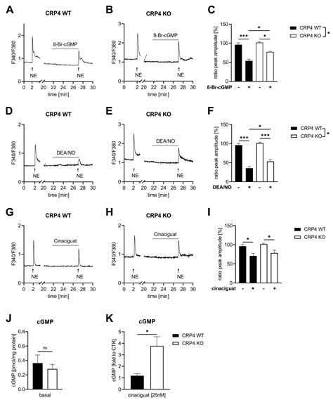 Cyclic GMP-Dependent Regulation of Vascular Tone and Blood Pressure ...