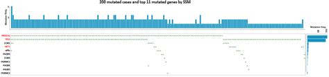 Familial CCM Genes Might Not Be Main Drivers for Pathogenesis of ...