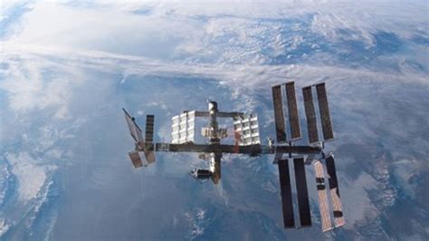 Alien Bacteria 的图像结果