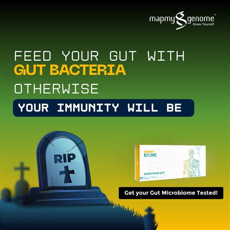 Top 4 signs of an unhealthy gut – Mapmygenome