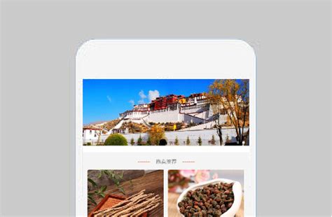 西藏土特产网商城 - 小程序案例 - 万商云集