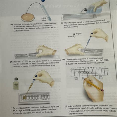 Image result for API 20E Booklet