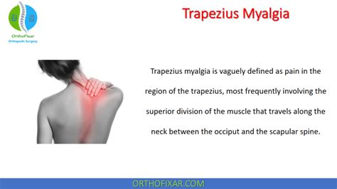 Medial Hamstring Reflex Test 的图像结果