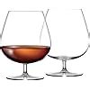 Buy Reflector Italian Premium Wine Glasses | 360ml Crystal Brandy Glass ...