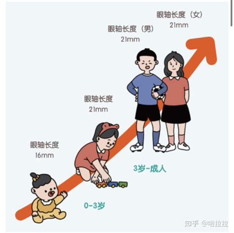 儿童屈光发育过程的特征 - 知乎