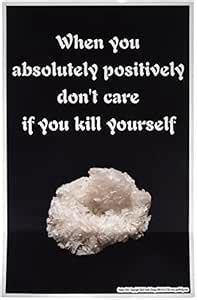 Poster #211 Meth, Drug Use Prevention Message Posters : Amazon.in: Home ...