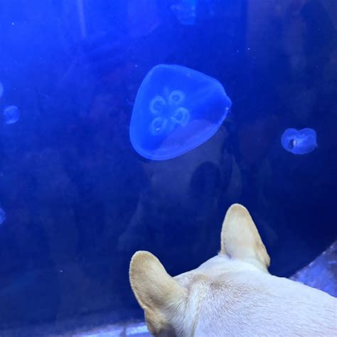 Oceanarium And Education Center (2026) - All You MUST Know Before You Go (with Reviews)