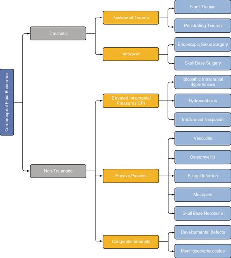Evaluation of the patients with cerebrospinal fluid leaks: History and physical examination ...