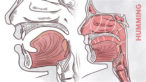 Vowels | The Key to Singing | Complete Guide for Singers