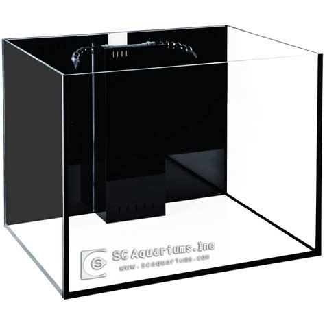 Best 50 Gallon Fish Tank of 2026