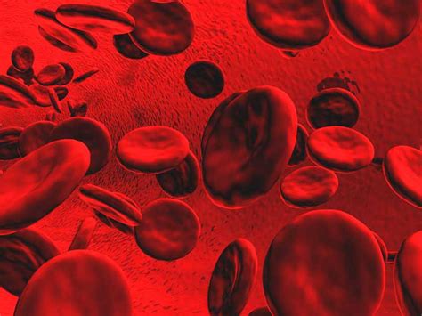 Image result for Blood Gang Handshake Tutorial