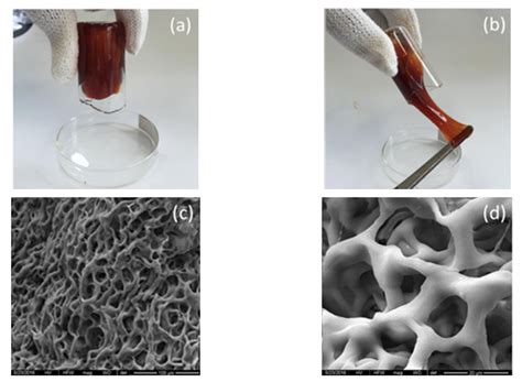 Research Progress of High-Temperature Resistant Functional Gel ...