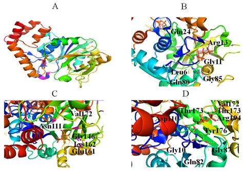 Rhamnose-Containing Compounds: Biosynthesis and Applications