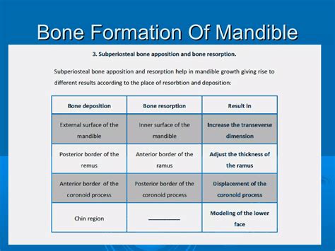 Image result for Process of Bone Formation