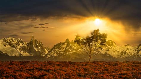Download wallpaper 1920x1080 tree, mountains, landscape, nature, sun ...
