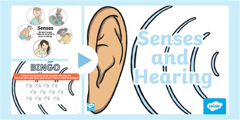 Five Special Senses - What Are The Five Senses - Twinkl