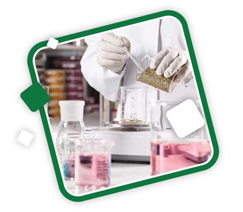 Image result for Formulation Development