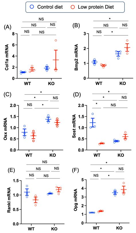 Chrebp Deletion and Mild Protein Restriction Additively Decrease Muscle ...