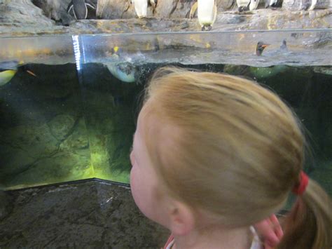 Image result for Spring Break 2016 Competition