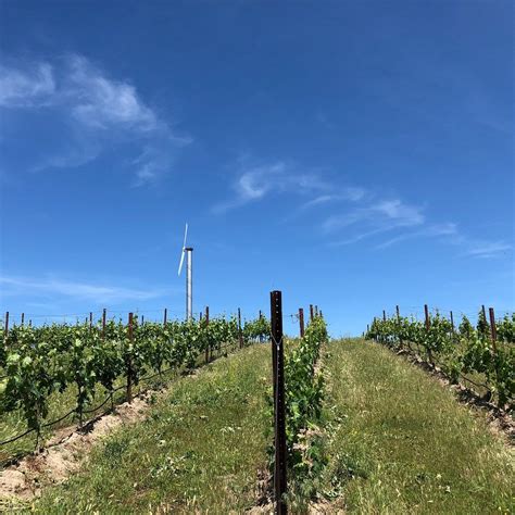 GIFFORD HIRLINGER WINERY (2026) All You Need to Know BEFORE You Go ...