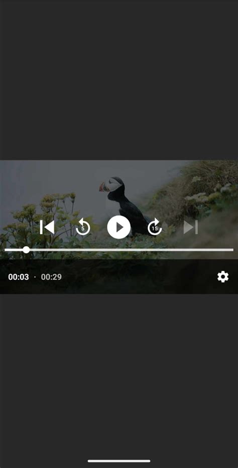 Jetpack Compose Exoplayer Video Streaming Example 的图像结果